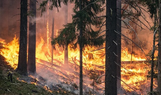CSIF denuncia la grave falta de personal en las brigadas contra incendios