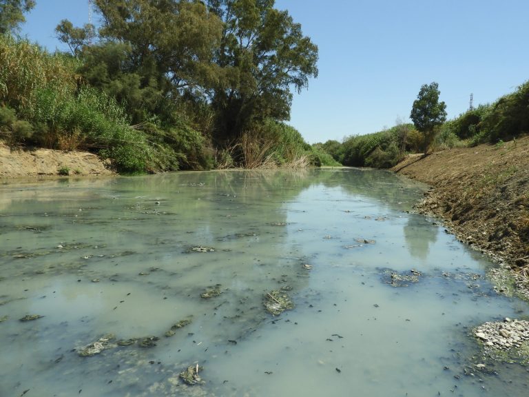 ACPES denuncia la contaminación en el Río Guadalhorce