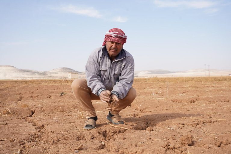 La agricultura mundial perdió 3,26 billones de dólares por desastres naturales en tres décadas