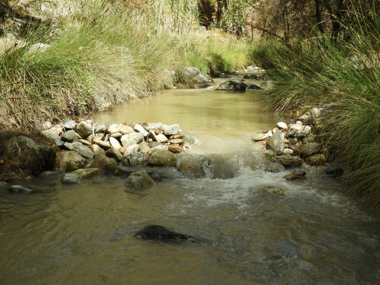 ACPES permeabiliza 58 presas en el Río Dílar en Granada