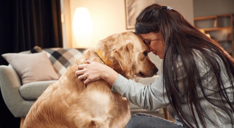 Golden, labrador y caniche, entre las razas de perro que más ayudan a superar la depresión