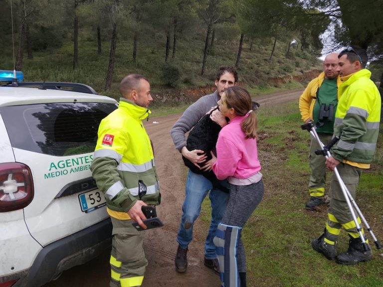 Rescatan a Boro, el perro perdido que viajaba en el Iryo siniestrado