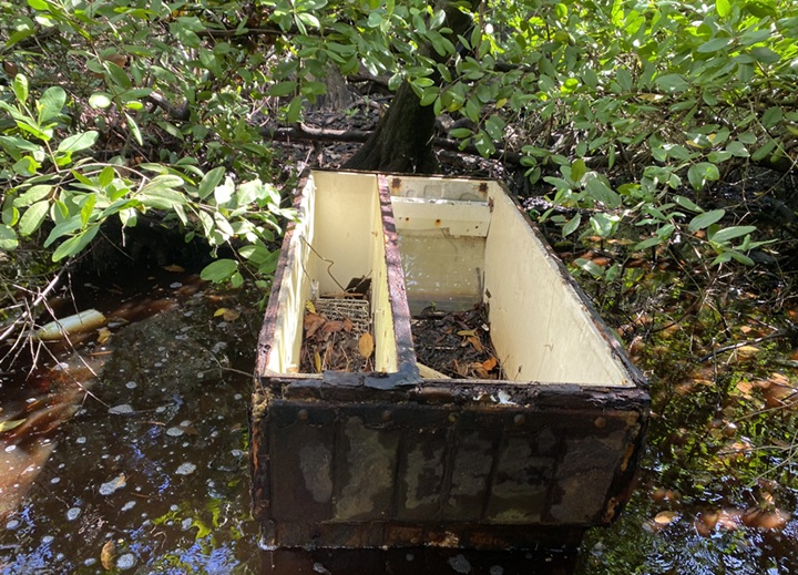 La basura invade los manglares de los países tropicales