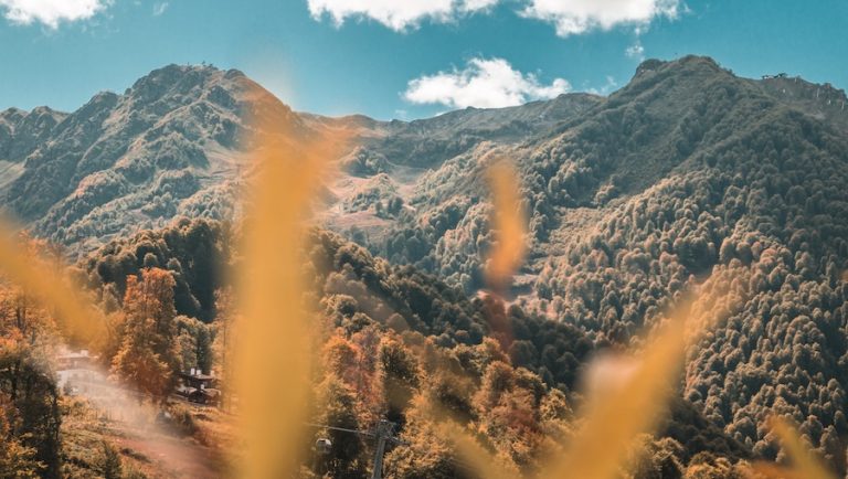 La inversión contra la naturaleza supera con creces los fondos para salvarla