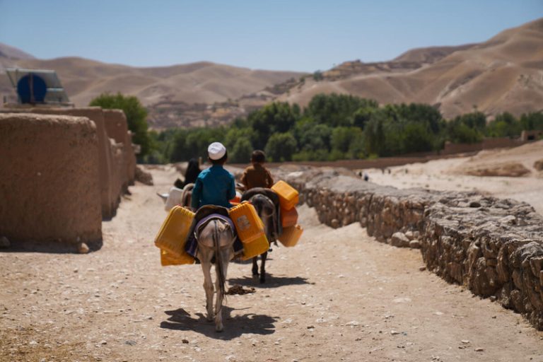 El calor extremo amenaza la salud y el sustento de más de 1.000 millones de personas, según la ONU