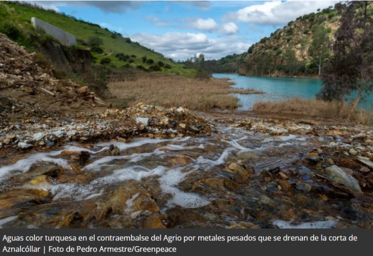 Greenpeace revela filtraciones con metales pesados en Aznalcóllar y avisa del riesgo para el Guadalquivir