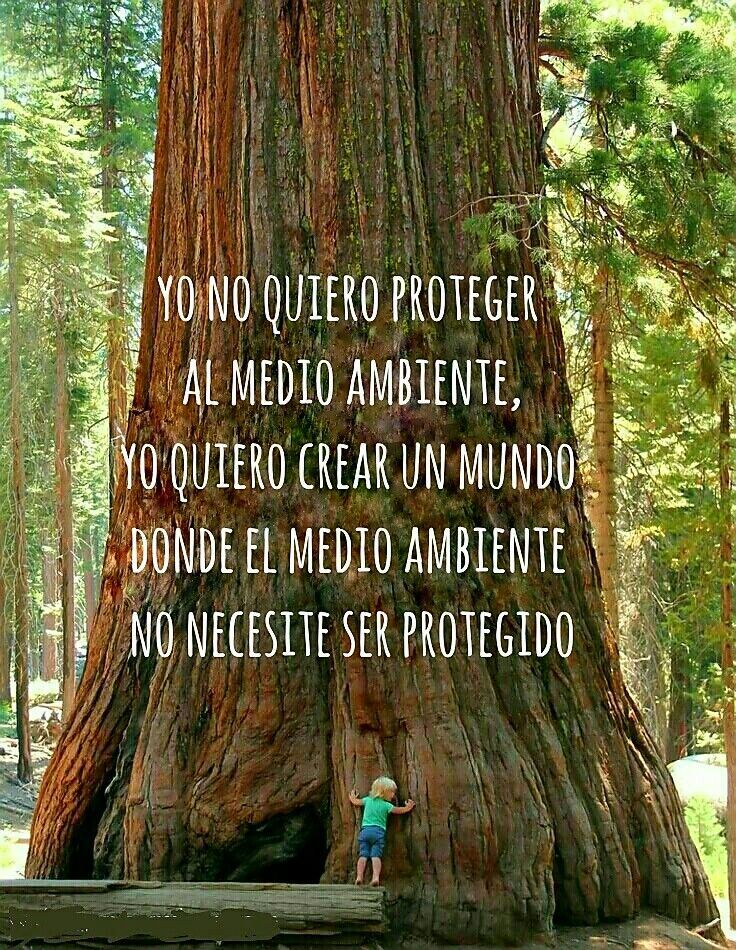 No quiero proteger al medio ambiente: quiero un mundo en el que no tenga que ser protegido