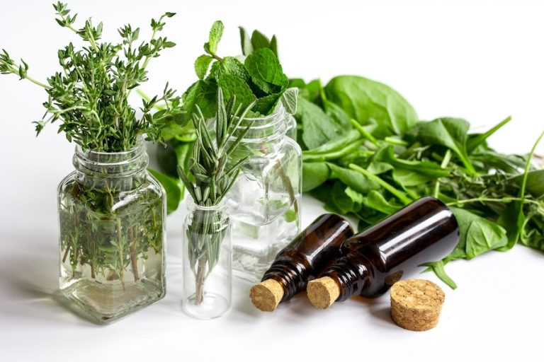 Plantas aromáticas y medicinales en España