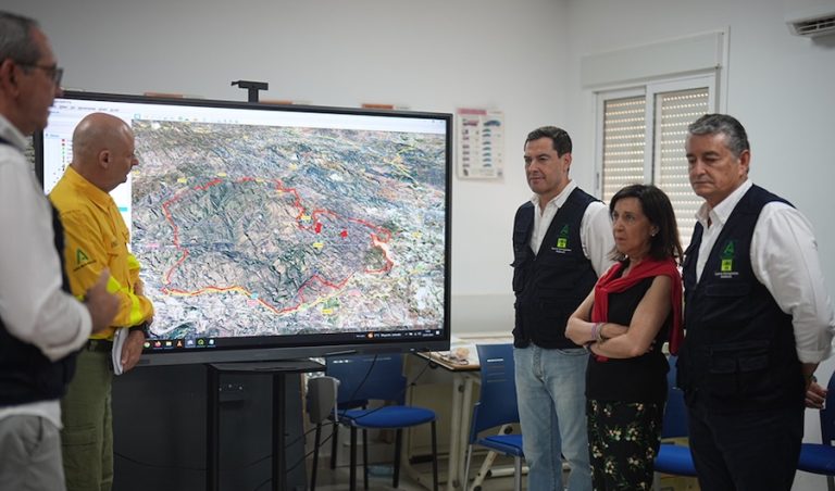 Moreno anuncia la «estabilización» del incendio de Los Gallardos