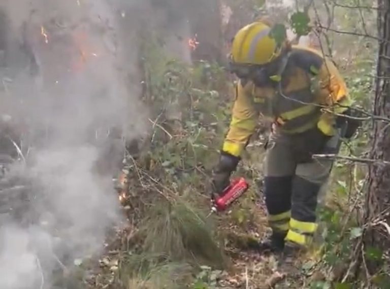 El despliegue de la UME que combate el fuego en Madrid y Ávila