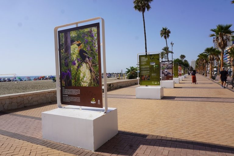 BIOPARC Fuengirola 25 años de historias de conservación